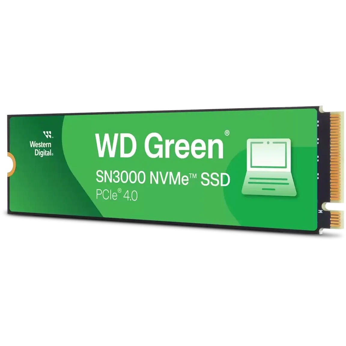 WDS100T4G0E_1