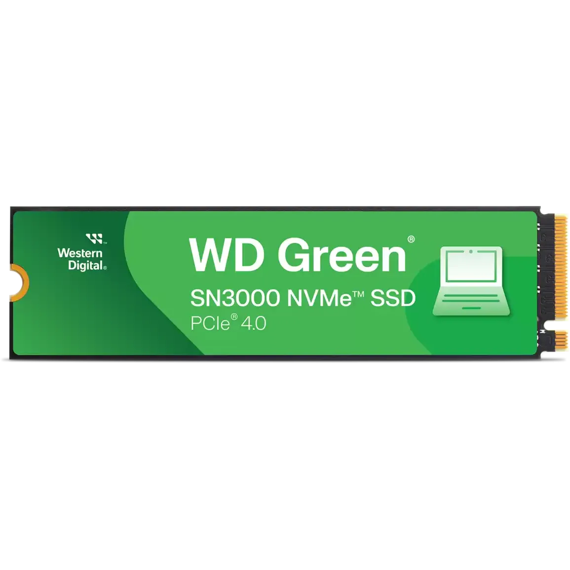WDS100T4G0E_3