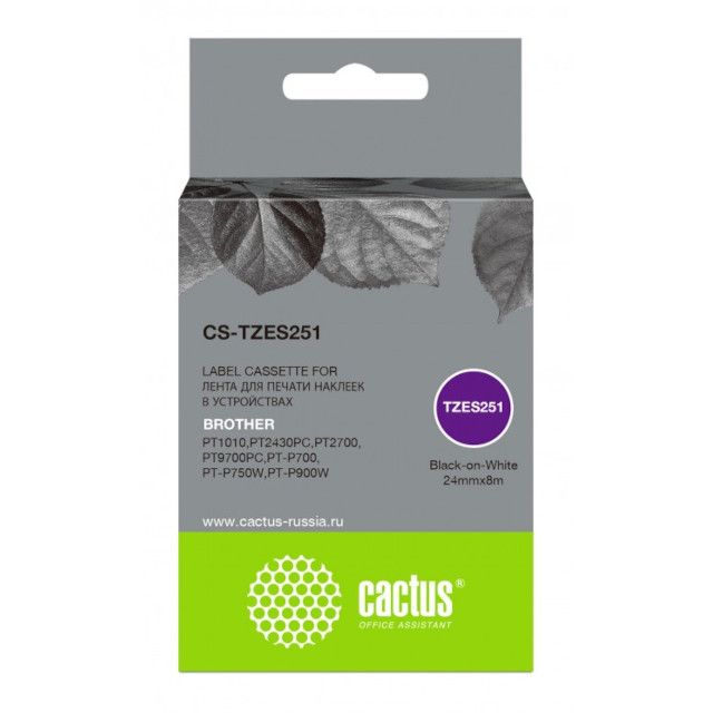 CS-TZES251