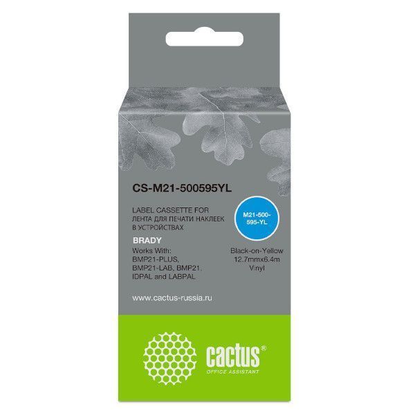 CS-M21-500595YL