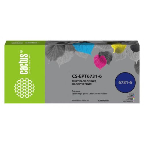 CS-EPT6731-6