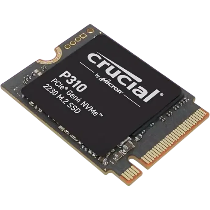 CT1000P310SSD2_4