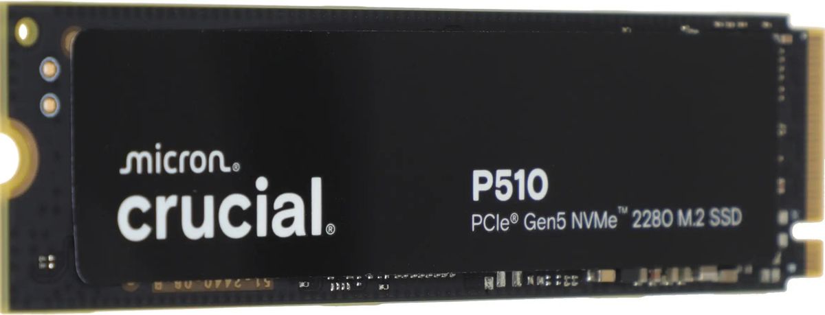 CT1000P510SSD8_3