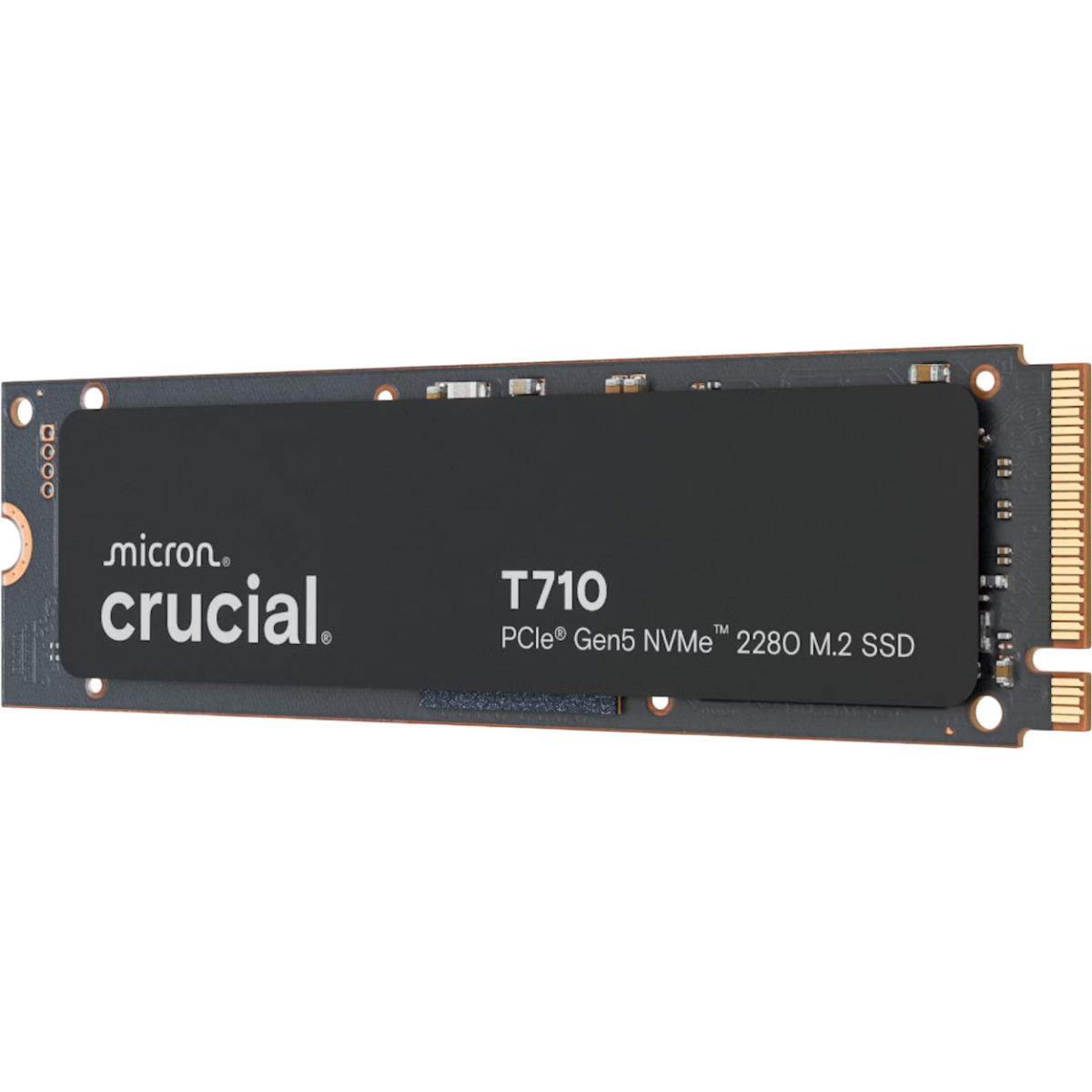 CT1000T710SSD8_4