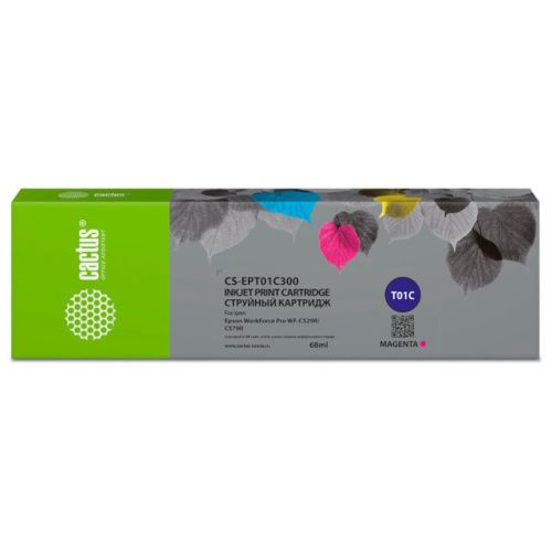 CS-EPT01C300